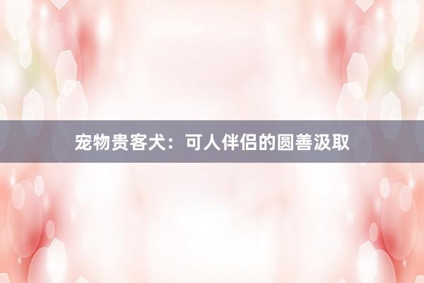 宠物贵客犬：可人伴侣的圆善汲取