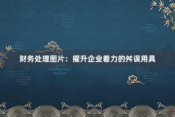 财务处理图片：擢升企业着力的舛误用具
