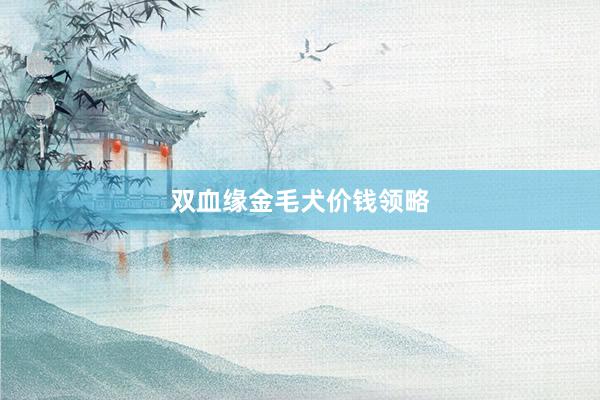 双血缘金毛犬价钱领略