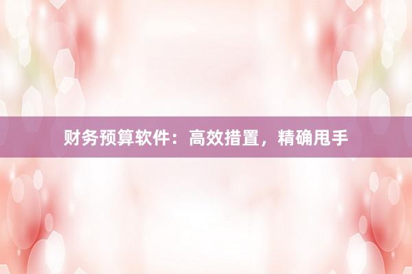 财务预算软件：高效措置，精确甩手
